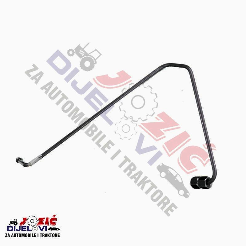 Daisy on the Ohoopee